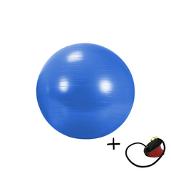 Fitness Ball 65cm